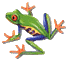 frog04.gif